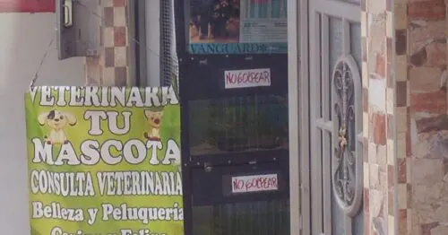 VETERINARIA TU MASCOTA VETERINARIA TU MASCOTA